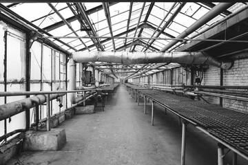 Metal frames inside the greenhouse.