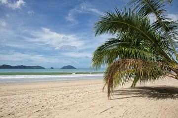 Dreamlike idyllic beach of El Nideo, Palawan in the Philippines, with a palm tree in the foreground.