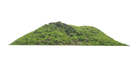 Green tree isolated on transparent background with clipping path,  hill, mountain with clipping path and alpha channel. for both printing and web pages. 