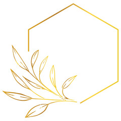 frame flower flat design