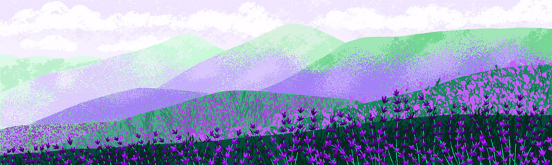 Obraz premium Lavender field on hills, nature landscape background. Purple floral plants blooming on meadow. Blossomed violet lavanders, countryside panorama scenery, wild gentle flora. Flat vector illustration