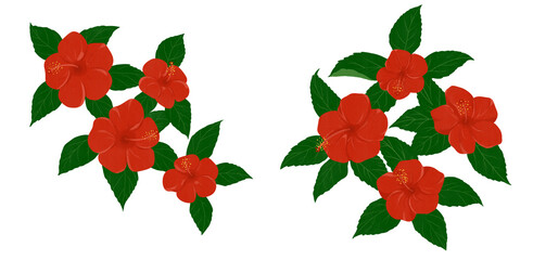 鮮やかな赤色のハイビスカスのイラスト