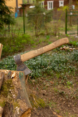 Old axe in stump outdoors
