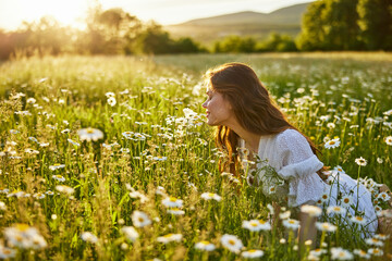 a beautiful woman in a light dress sits in a field of daisies against the backdrop of the setting sun and inhales their fragrance - obrazy, fototapety, plakaty