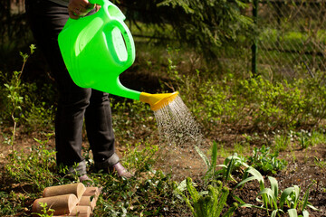 Fototapeta premium Woman with watering can pouring the ground in garden