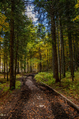 Mountain path in high mountains	