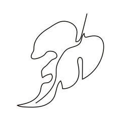 Philodendron leaf line art