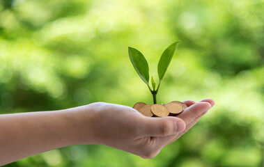 Green plant growth from coins