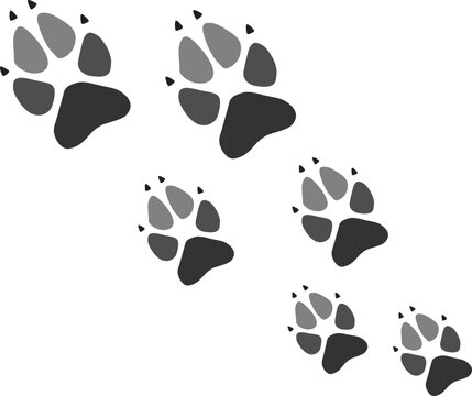 Wolf footprint vector image