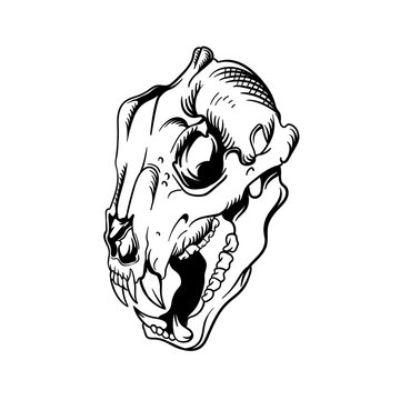 Hand drawn illustration of tiger head skull outline design