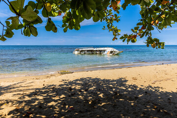 beach with palm tree