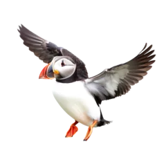 Deurstickers Papegaaiduiker flying puffin isolated on background