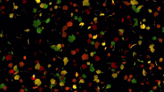 Beautiful autumn leaves animation in 4k Ultra HD, Transparent animation with leaves, Leaves animation for background video