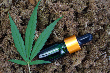 Medical marijuana flower buds with oil bottles.