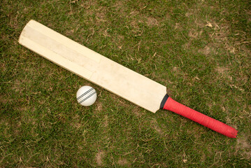 Cricket bat and ball on playing grass field pitch
