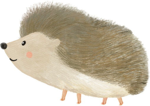 Watercolour Cute Baby Hedgehog, Walking Side View, Hand Painted Watercolor Illustration