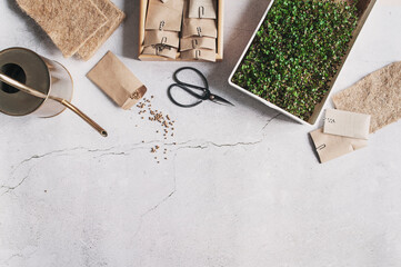 growing microgreen at home. Preparations for seeding with coconut rugs and seeds. Top view, copy space.