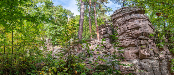 scenic landscape in the Vosges in Alsace region in France with rocks and wild forest