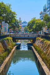 Fototapeta premium bridge in the taiwanese park