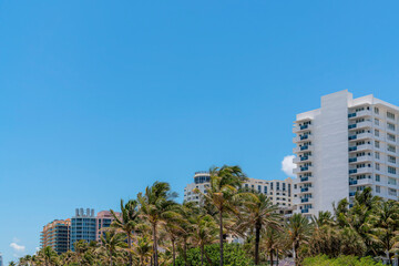 Coconut trees at the front of mid-rise apartments hotel buildings in Miami, Florida. There are row of buildings behind the trees with blue skies background.
