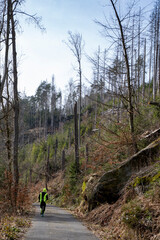 Im Kirnitzschtal bei Hinterhermsdorf 3
