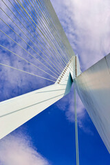 Closeup View of Erasmusbrug (Swan Bridge) High Piers in Rotterdam in front of Port and Harbour.