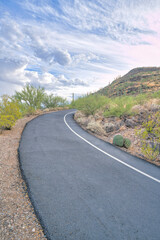 Uphill concrete road with shrubs and saguaro cactus against the sky in Tucson, Arizona. Asphalt pathway with painted white line with a view of a slope with cactus and wild plants.