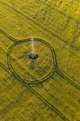 aerial view of the harvest field