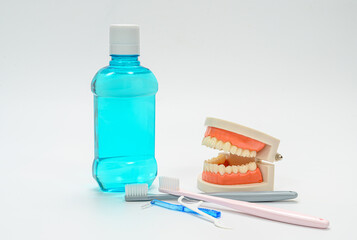 이빨 모형과 구강 청정제와 칫솔