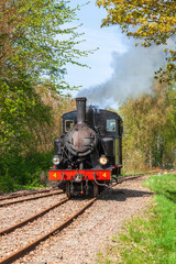 Old steam locomotive on a railway in a lush green woodland