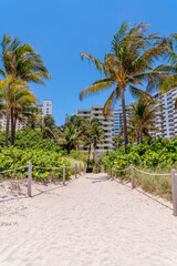 Fototapeta premium White sand path in the middle of grassy land with rope barrier in Miami, Florida in vertical shot. Path on the sand with views of coconut trees partially covering the modern multi-storey buildings.