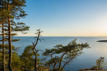 View to the Gulf of Finland from the shore of Porkkalanniemi in the evening, Kirkkonummi, Finland