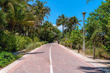 Walkway and bike path with bricks and lamp posts in the middle of plants and trees in Miami, Florida. There is a rope barrier on the right and coconut trees on the sides.