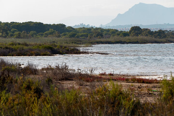 Landscape of a lake surrounded by nature