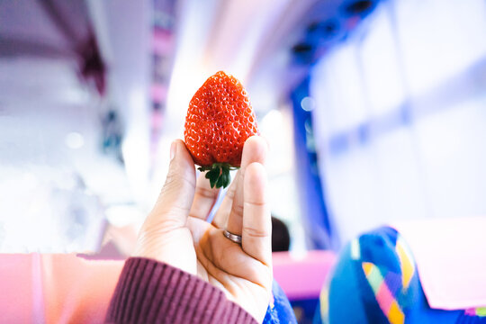 Red strawberry fruit in hand, light blur effect background