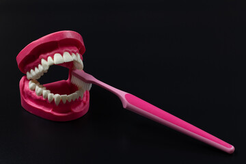 Toothbrush and layout of the human jaw on the black background.
