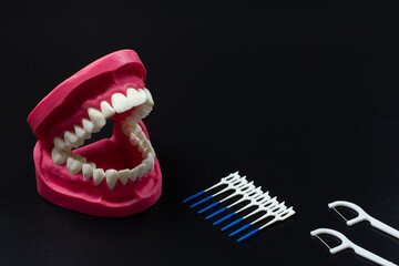 Human jaw layout, interdental toothpick brushes and flossing toothpicks.