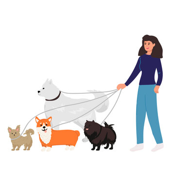 Dog sitter composition with outdoor landscape and doodle male character walking three dogs with cityscape background vector illustration,