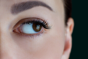 Close-up of brown eye with extreme long eyelashes, black eyeliner, healthy skin, flawless eyebrow of unrecognizable young woman looking aside. Macro. Eyelash extension, beauty procedures, cosmetology.