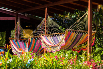 hammock in the park