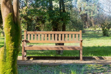 wooden bench in sunny spring park