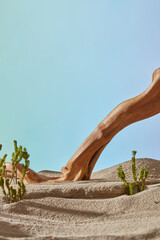 A desert scene with sand, green tree and tree branch for natural concept. Blue background represents the sky. Front view