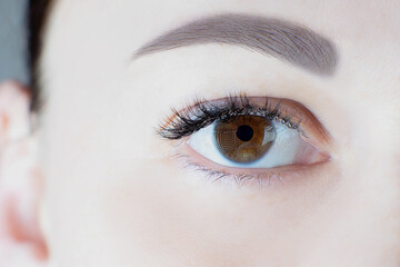 Close-up of brown eye with extreme long beautiful eyelashes, ideal perfect skin, trendy eyebrow of unrecognizable young woman. Macro shot. Eyelash extension, beauty procedures, cosmetics, make-up.