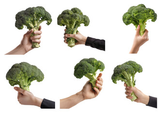 collection of a hand holding broccoli on a transparent background, Generative AI