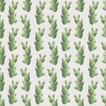 Mexican cactuses, seamless pattern with digital hand drawn art