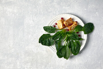 Fried curd cheese mozzarella halloumi with green spinach and lingonberry cranberries on a gray...