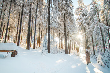 Walk through a nature reserve during the winter season at sunrise in Beskydy mountains, Czech republic. Breathtaking view of the golden rays of the sun illuminating the footpath