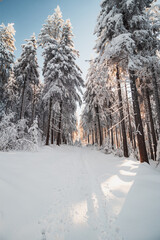 Walk through a nature reserve during the winter season at sunrise in Beskydy mountains, Czech republic. Breathtaking view of the golden rays of the sun illuminating the footpath