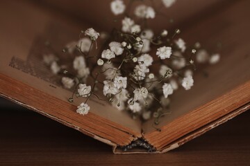 heart shaped chocolates