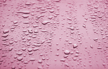 Raindrops on the hood of a car